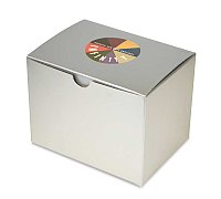 1-Piece 10 x 10 x 6 GLOSS SILVER Gift Boxes