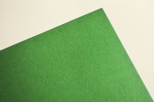 Green Two Pocket Matte Folder