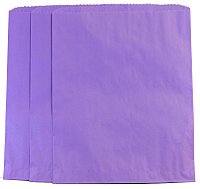 Large Purple Paper Merchandise Bag (12" x 15")