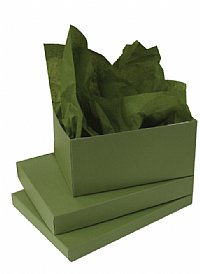 20x30 Asparagus Tissue (480 sheets/pack)