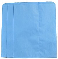 Large Sky Blue Paper Merchandise Bag (12" x 15")