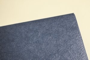Blue Two Pocket Matte Folder