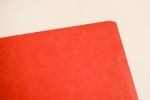 Red Two Pocket Matte Folder